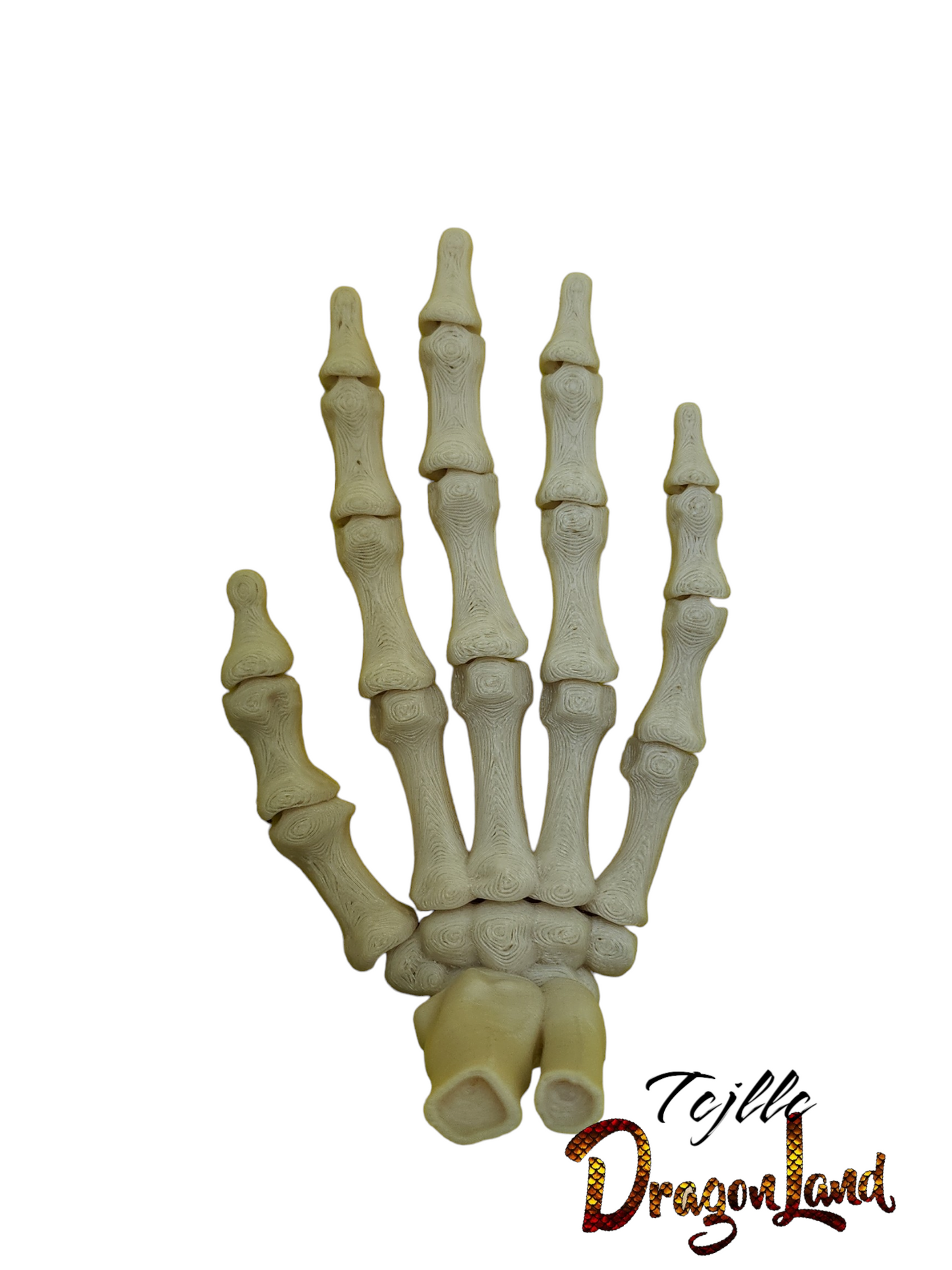 Skeleton Hand Wrist Large
