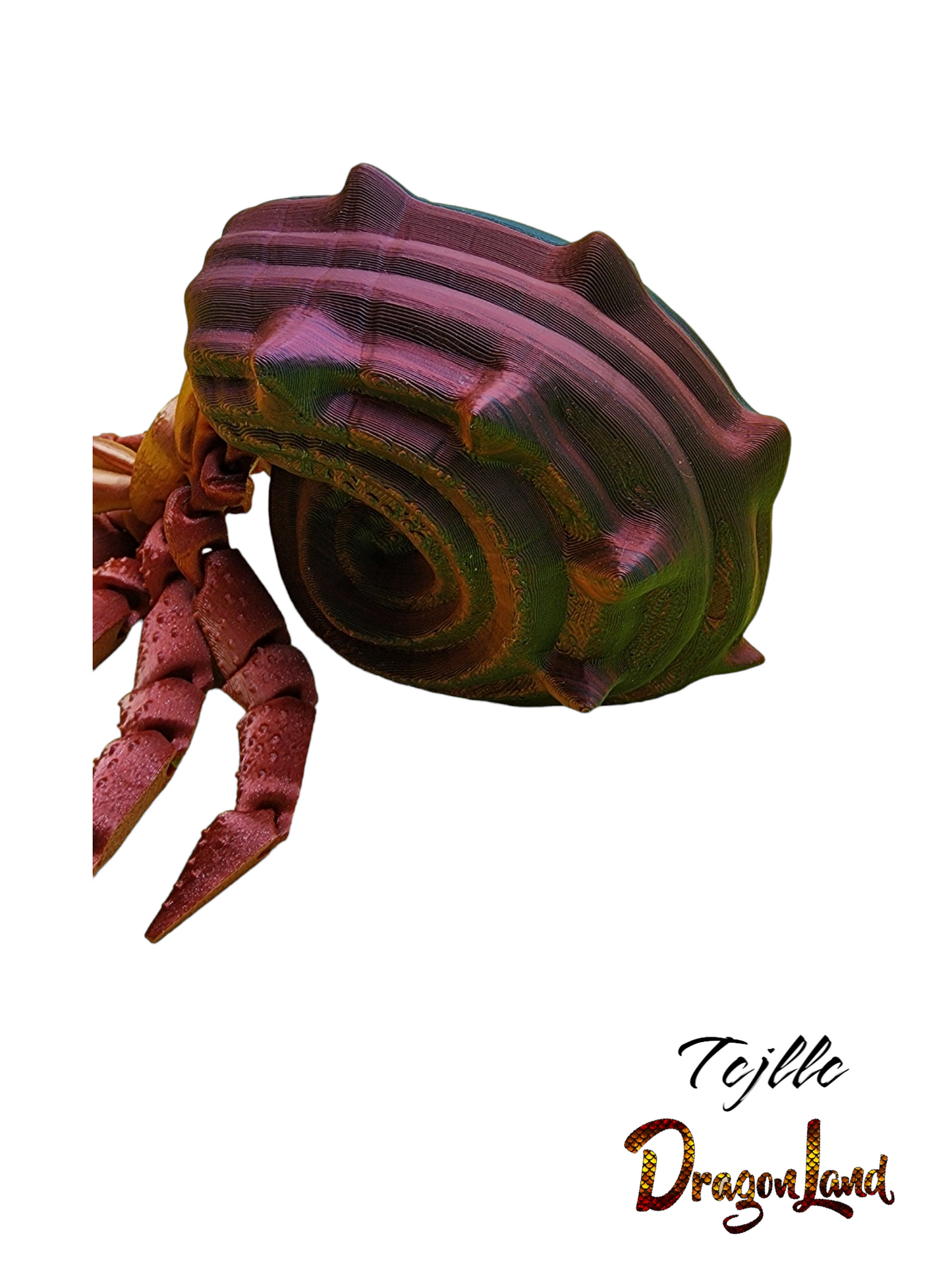 Hermit Crab with Shell