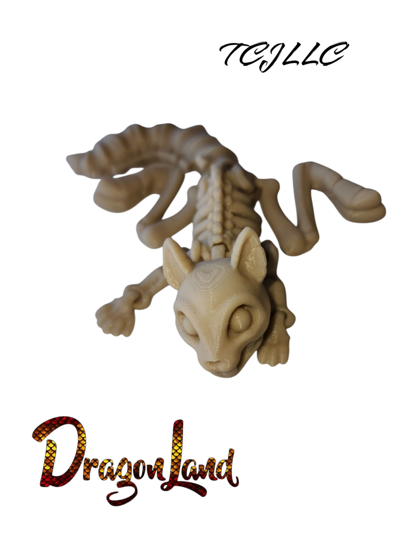 skeleton squirrel