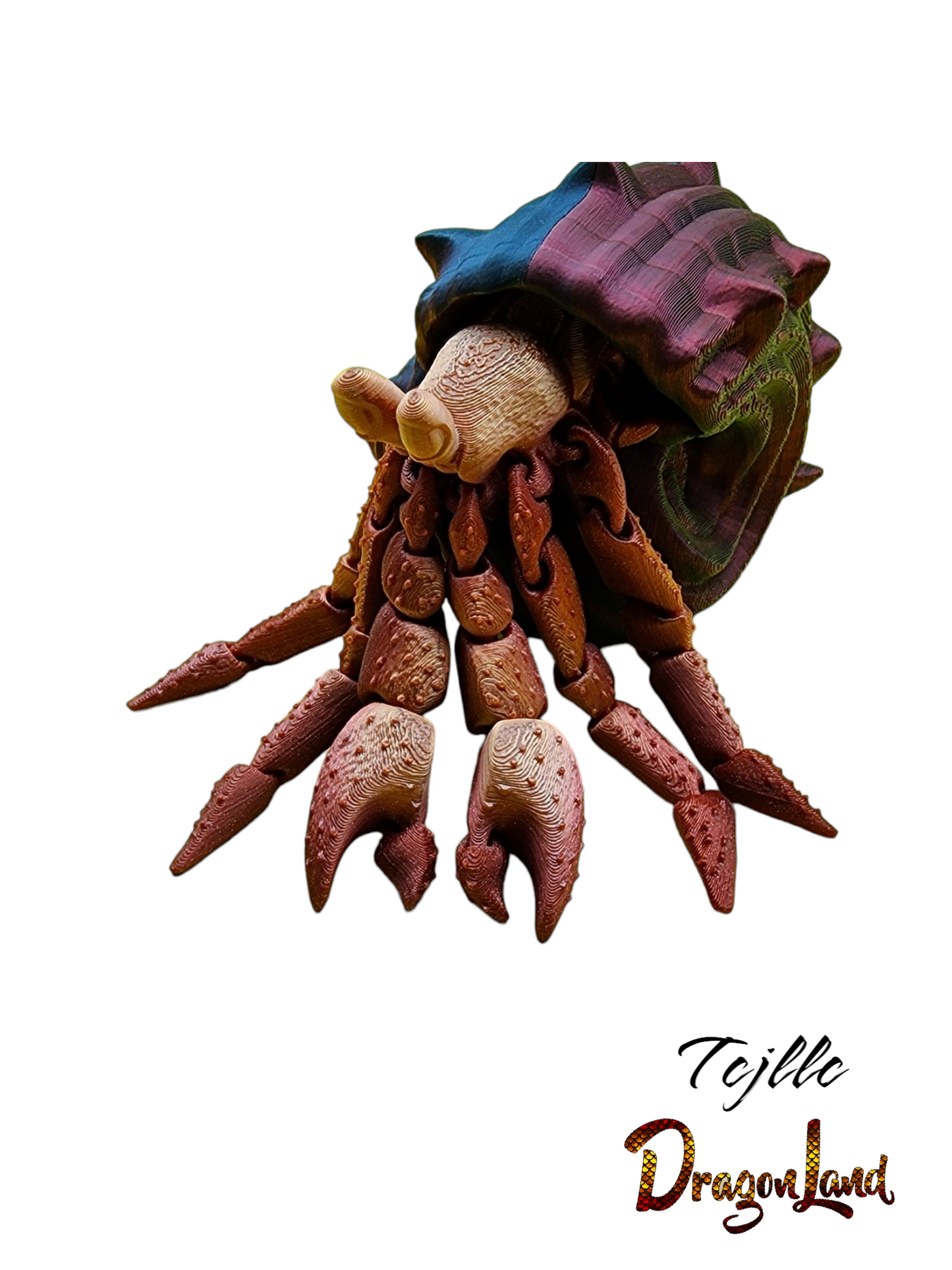 Hermit Crab with Shell