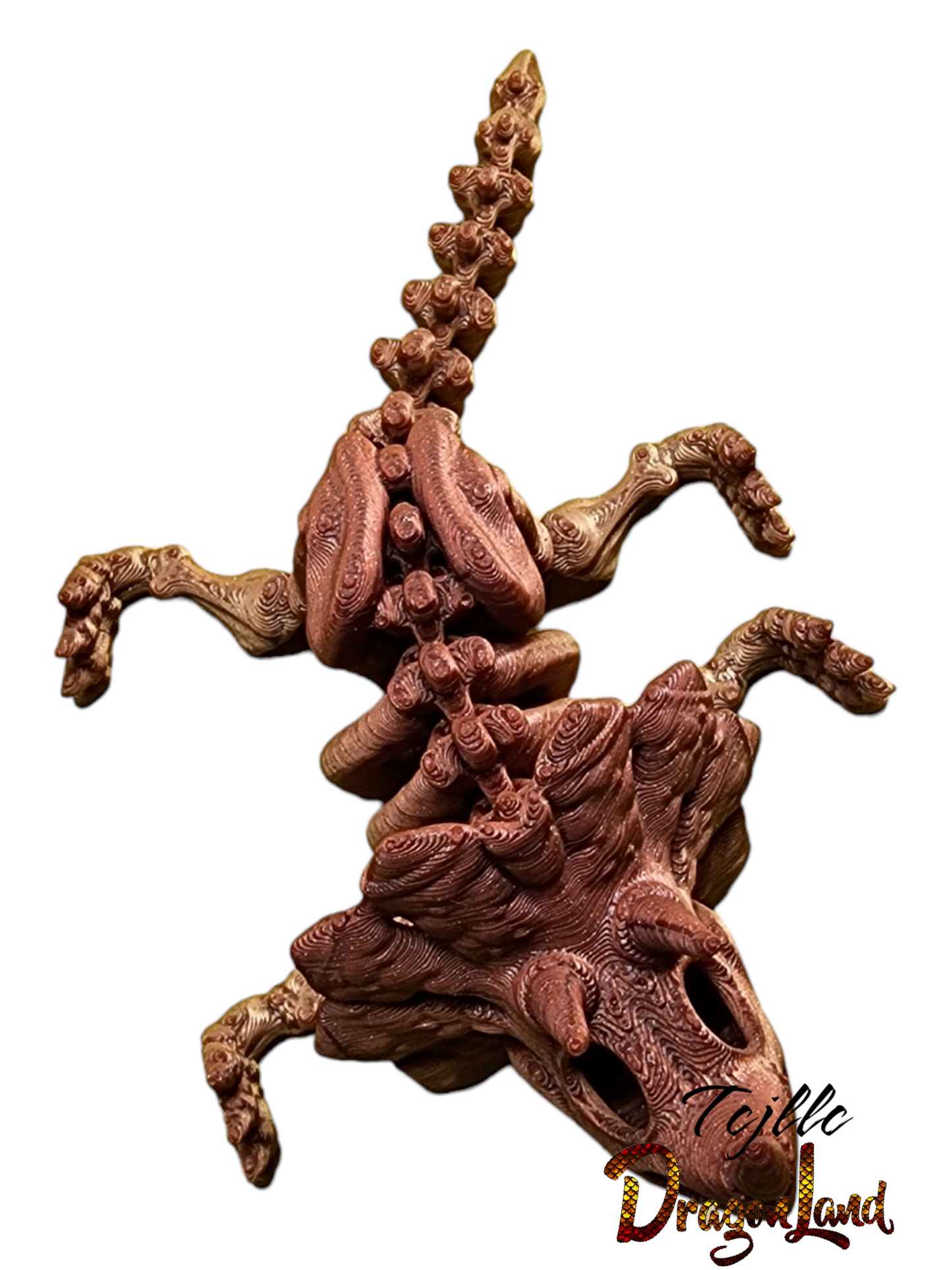 Triceratops Skeleton Small