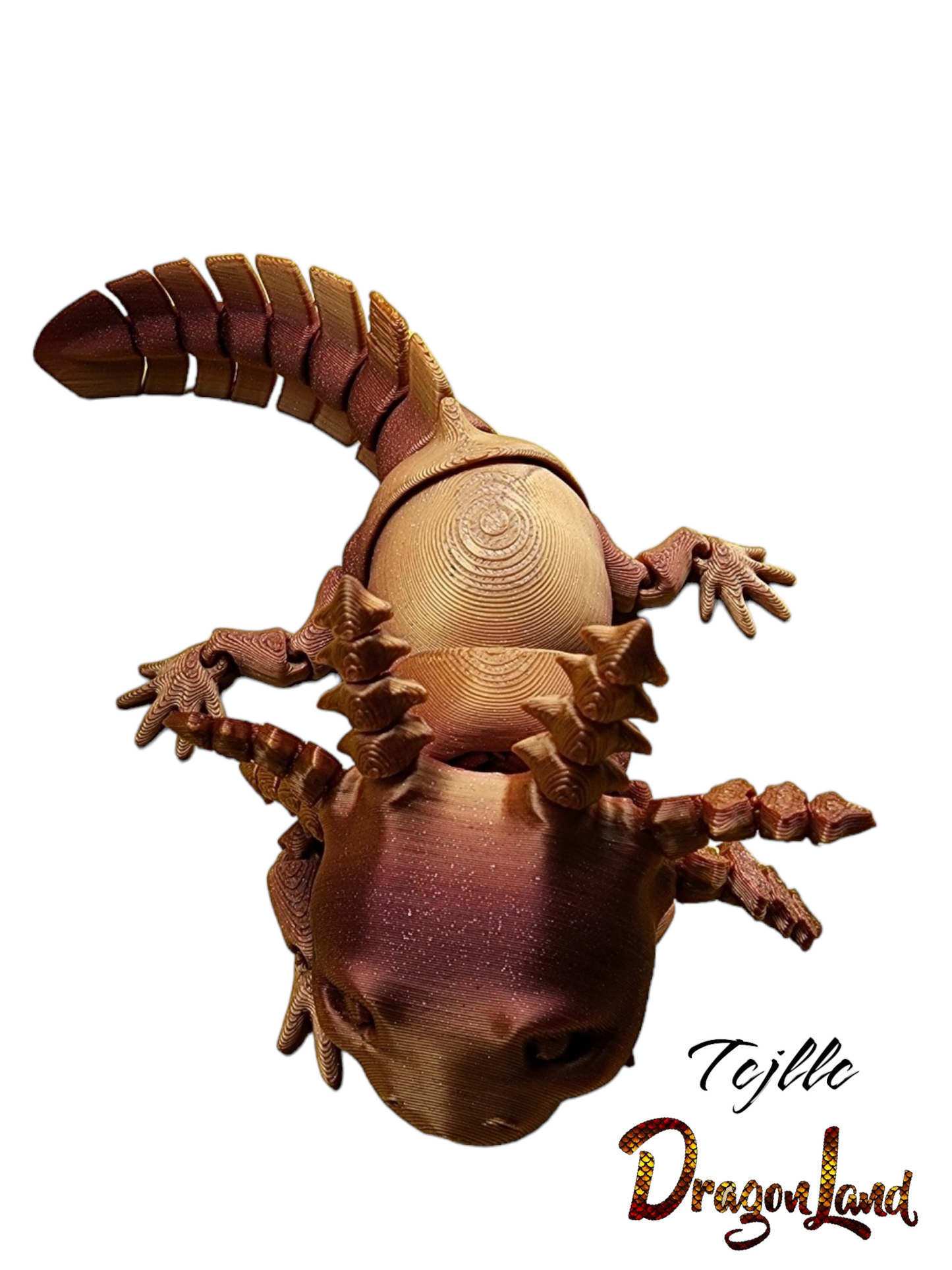 Axolotl