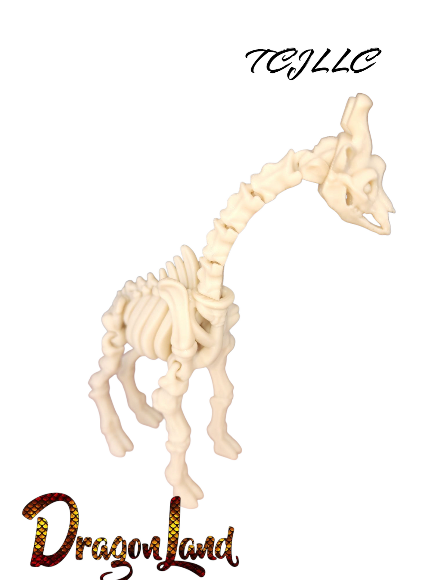Skeleton Giraffe