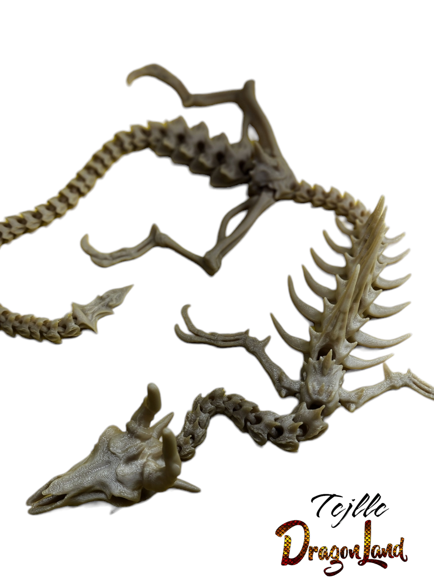 Skeleton Dragon Glow