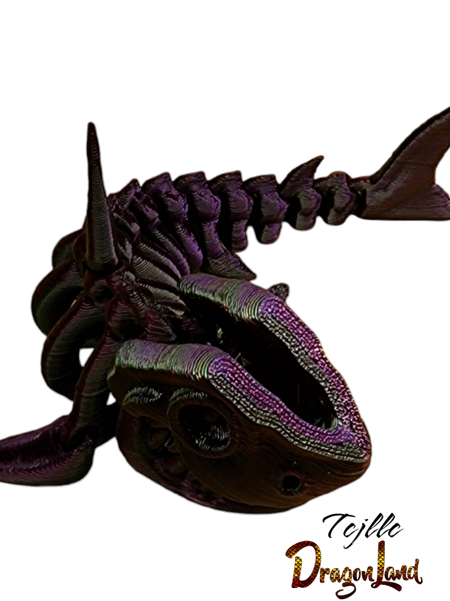 Skeleton Shark Large