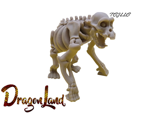 Skeleton Chimpanzee Monkey