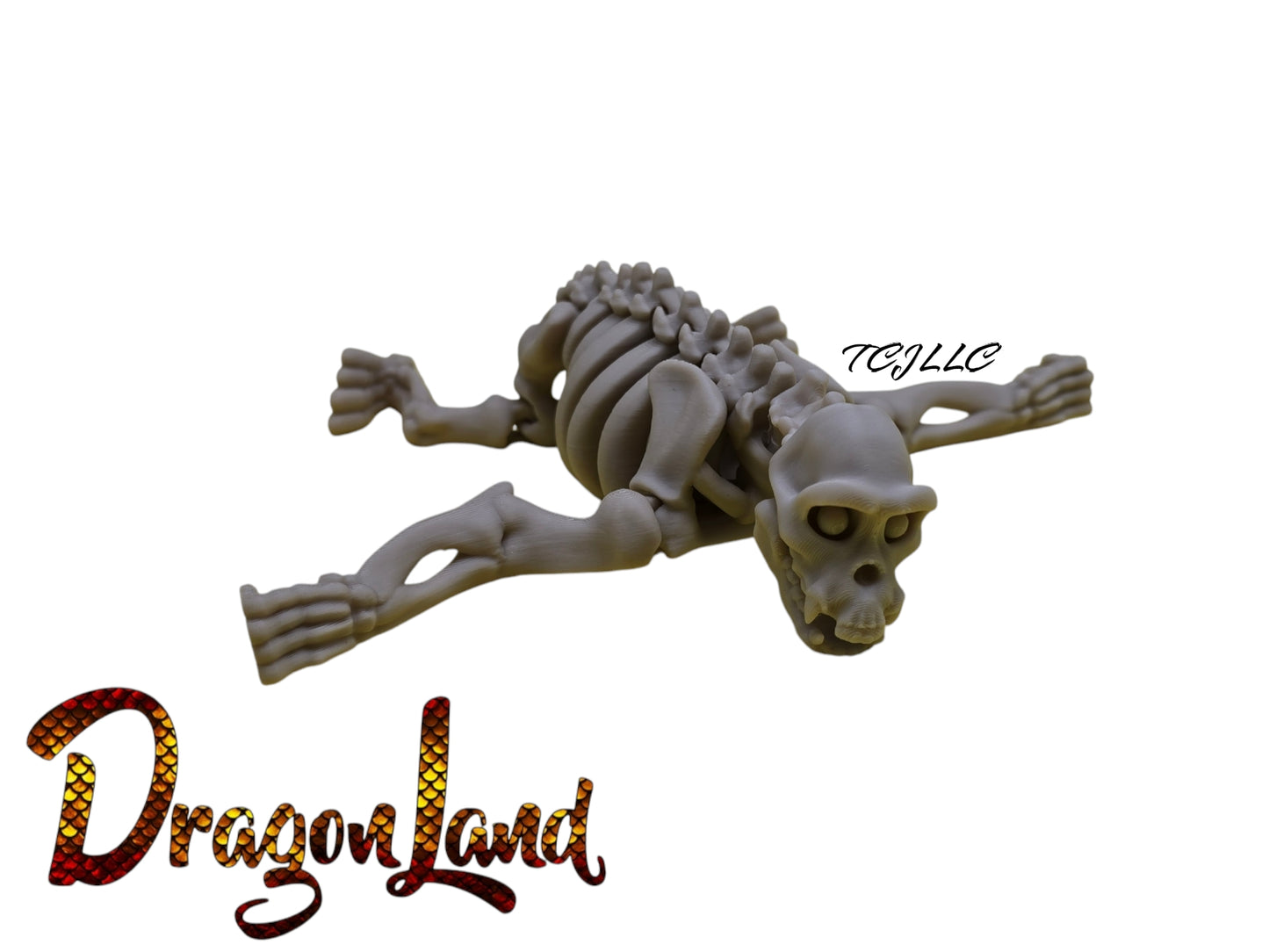 Skeleton Chimpanzee Monkey