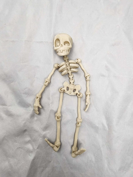 Flexible Skeleton