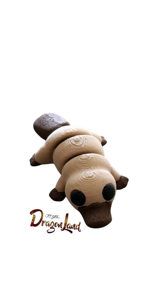 Platypus Key