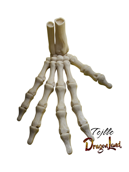 Skeleton Hand Small