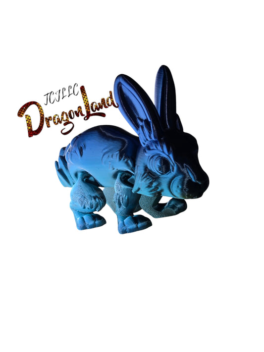 Rabbit Med