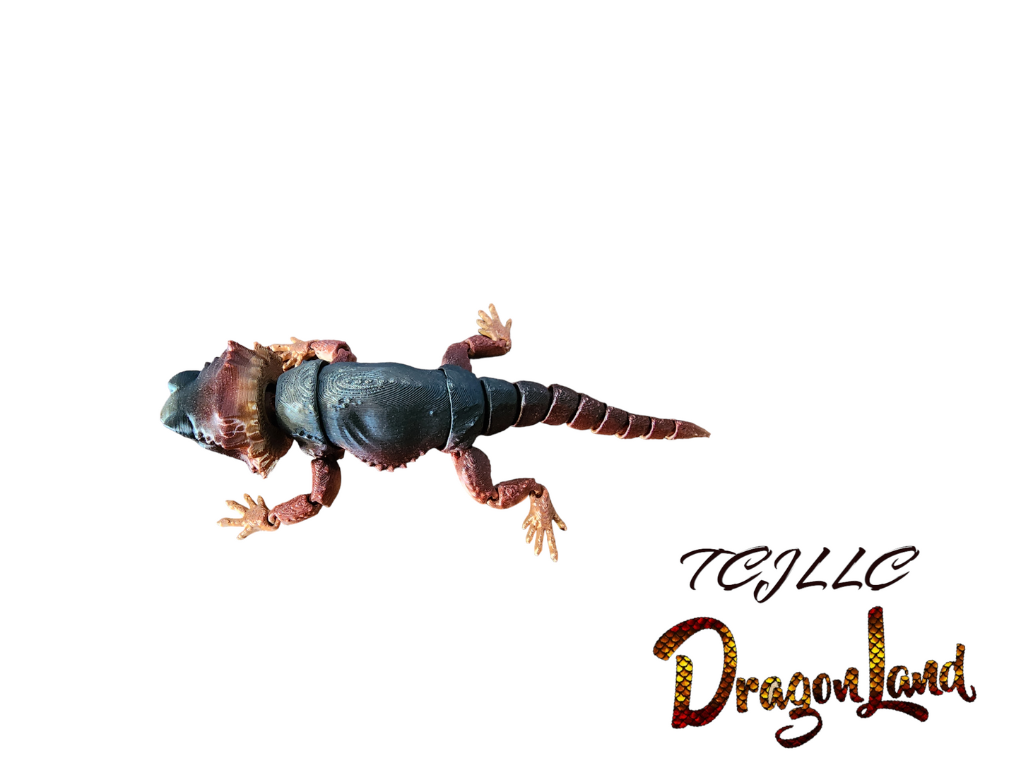Bearded dragon
