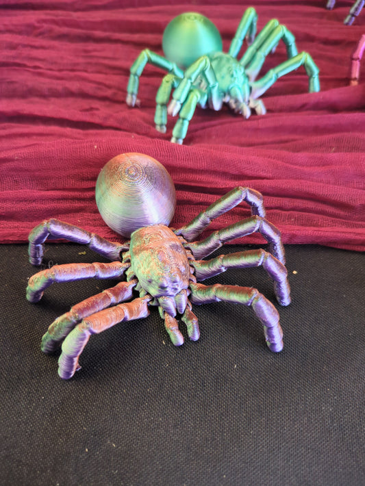 Spider Tarantula Benji