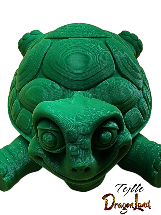 Silly tortoise