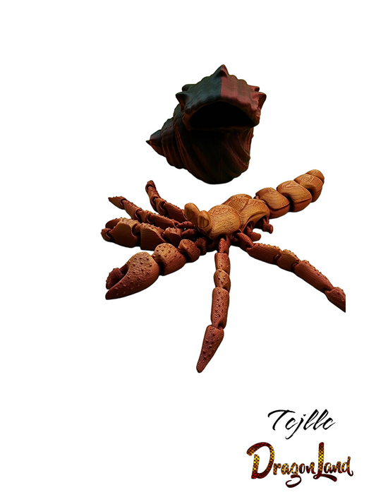 Small Hermit Crab With Shell